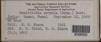 Image Associated With the Occurence